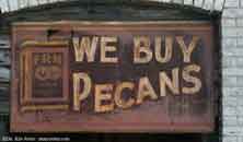 FL_Madison_WeBuyPecans_00.jpg