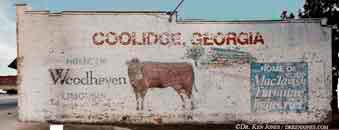 GA_Coolidge_Cow_00.jpg