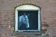 IA_Winterset_HorseWindow_00.jpg