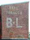 MA_Holyoke_BLTobacco2_00.jpg