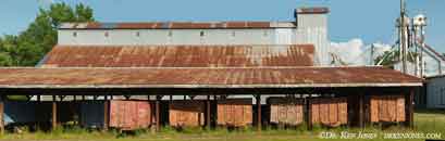 NC_Enfield_GrainWarehouseLoaderWagons_00.jpg