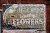 OH_Chillicothe_Flowers_00.jpg