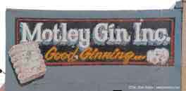 OK_Hollis_MotleyGin1_00.jpg