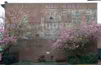 OR_Portland_PinkTreeBuilding_00.jpg