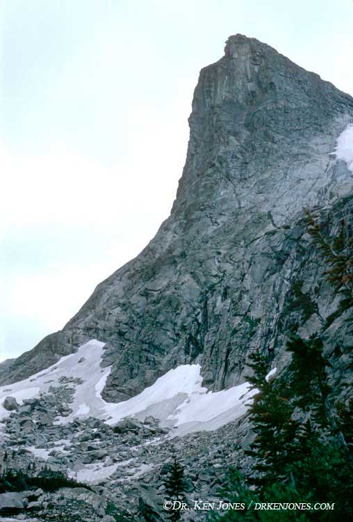 66.07.g03.jpg