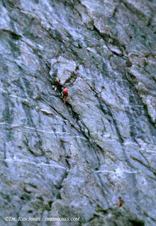66.07.g05.jpg
