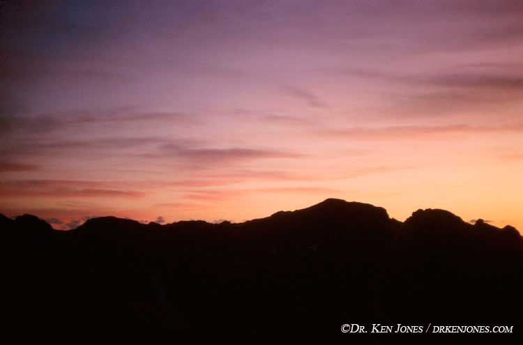 66.07.i36.jpg