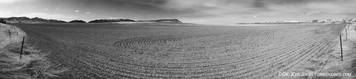 PAN_180field_00.jpg